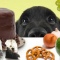 EXTREMELY DANGEROUS FOODS - Grapes, Raisins, Macadamia Nuts!
